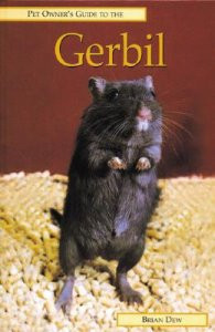 GERBIL