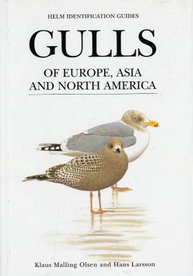 GULLS OF EUROPE, ASIA AND NORD AMERICA