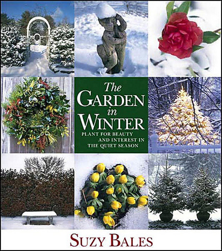 GARDEN IN WINTER