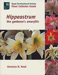 HIPPEASTRUM (AMARYLLIS)