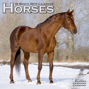 HORSES 2010