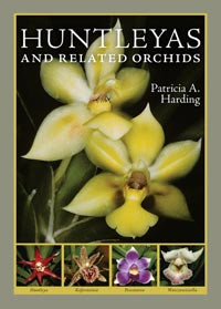HUNTLEYAS AND RELATED ORCHIDS