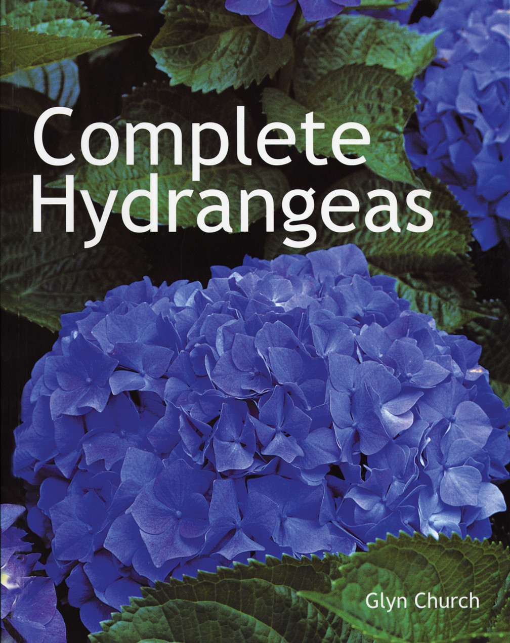 COMPLETE HYDRANGEAS