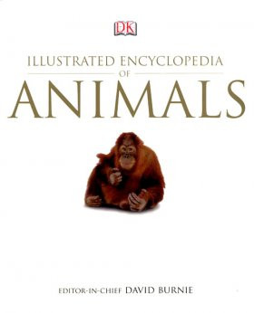 ILLUSTRATED ENCYCLOPEDIA OF ANIMALS