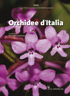 ORCHIDEE D ITALIA