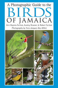 A PHOTOGRAPHIC GUIDE TO THE BIRDS OF JAMAICA