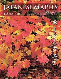JAPANESE MAPLES
