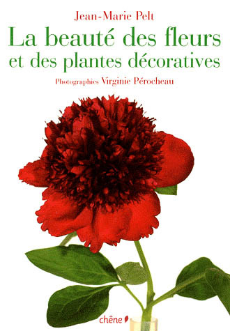 LA BEAUTE DES FLEURS ET DES PLANTES DECORATIVES