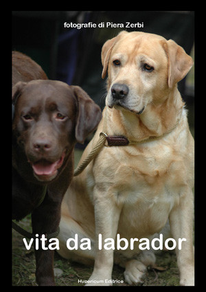 VITA DA LABRADOR