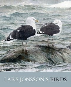 LARS JONSSON S BIRD