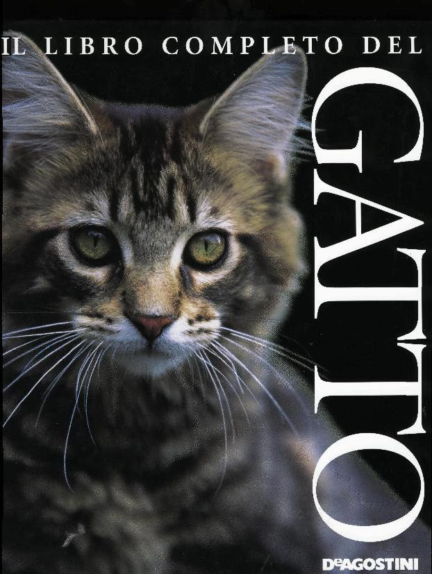 LIBRO COMPLETO DEL GATTO