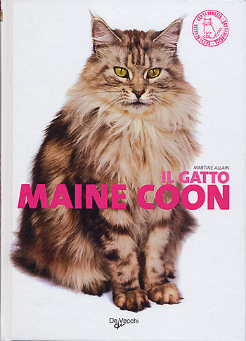 GATTO MAINE COON