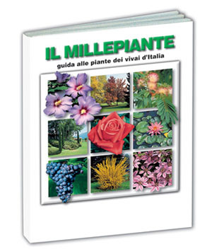 MILLEPIANTE