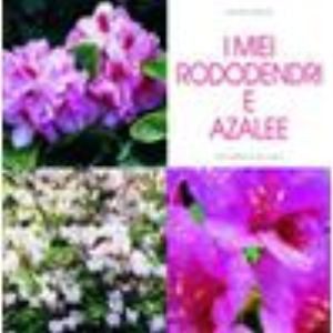 MIEI RODODENDRI E AZALEE