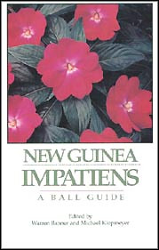 NEW GUINEA IMPATIENS