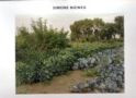LANDSCHAFTEN UND GARTENSTUCKE