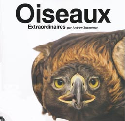 OISEAUX EXTRAORDINAIRES