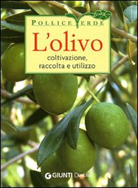 COLTIVARE L OLIVO