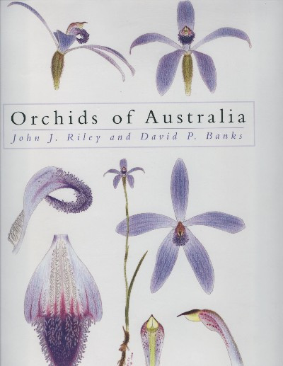 ORCHIDS OF AUSTRALIA