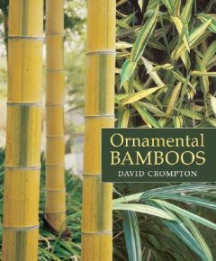 ORNAMENTAL BAMBOOS