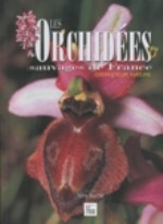 ORCHIDEES SAUVAGE DE FRANCE