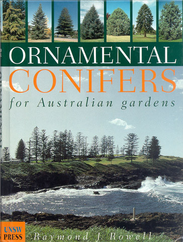 ORNAMENTAL CONIFERS FOR AUSTRALIAN GARDEN