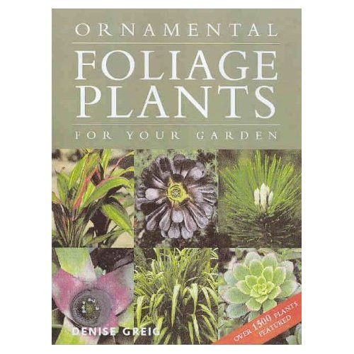 ORNAMENTAL FOLIAGE PLANTS