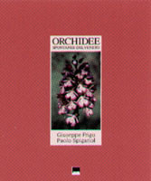 ORCHIDEE SPONTANEE DEL VENETO.