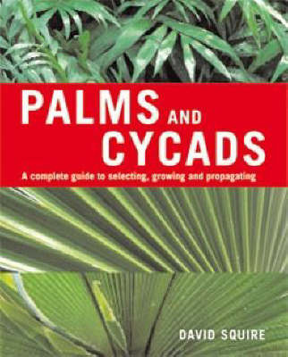 PALMS & CYCADS