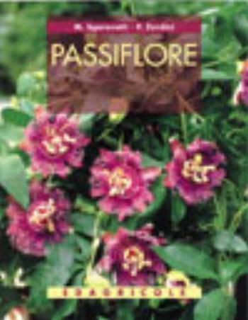 PASSIFLORE