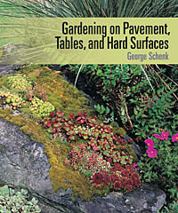 GARDENING ON PAVEMENT, TABLES...