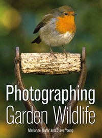 PHOTOGRAPHING GARDEN WILDLIFE