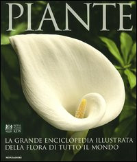 PIANTE. GRANDE ENCICLOPEDIA ILLUSTRATA