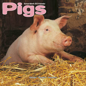 PIGS 2010