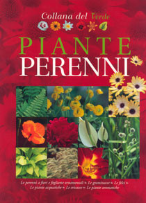 PIANTE PERENNI