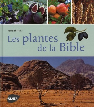 PLANTES DE LA BIBLE