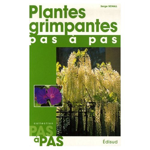 PLANTES GRIMPANTES
