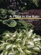 A PLACE IN THE RAIN