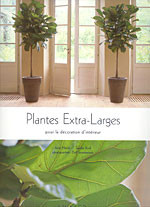PLANTES EXTRA-LARGES