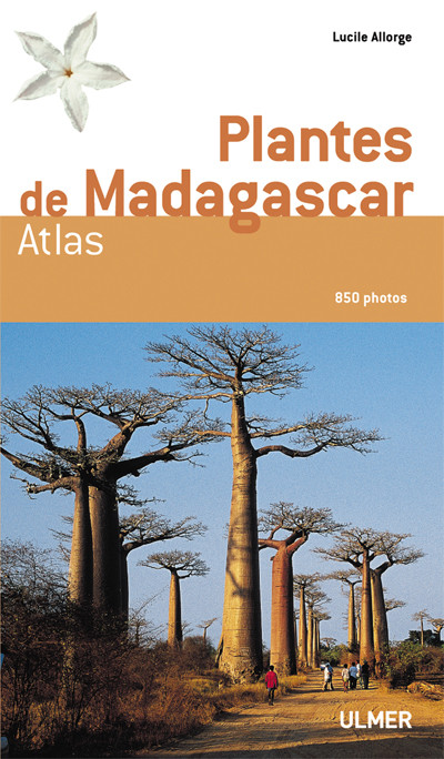 PLANTES DE MADAGASCAR