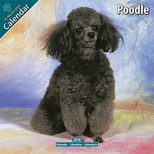 POODLE 2010