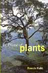 IN PRAISE OF PLANTS