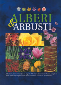 ALBERI E ARBUSTI