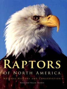 RAPTORS OF NORTH AMERICA