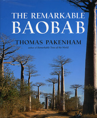 REMARKABLE BAOBAB