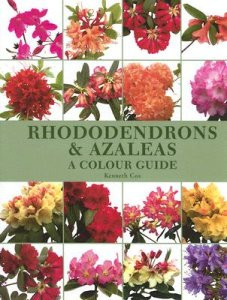 RHODODENDRONS & AZALEAS