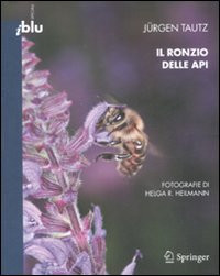 IL RONZIO DELLE API