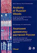 ANATOMY OF RUSSIAN WOODS.