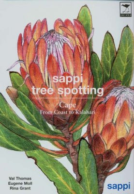 SAPPI TREE SPOTTING