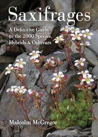 SAXIFRAGES